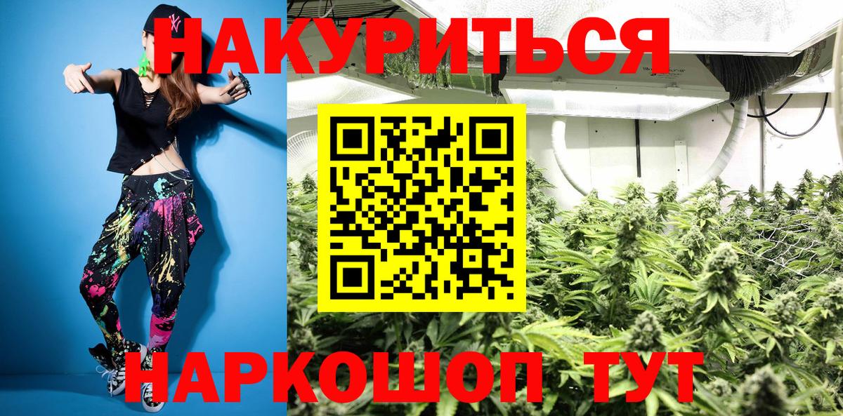 Конопля конопля  Вход с VPN  Бошки Шишки Bruce Banner  Каннабис планчик  Большой Камень 